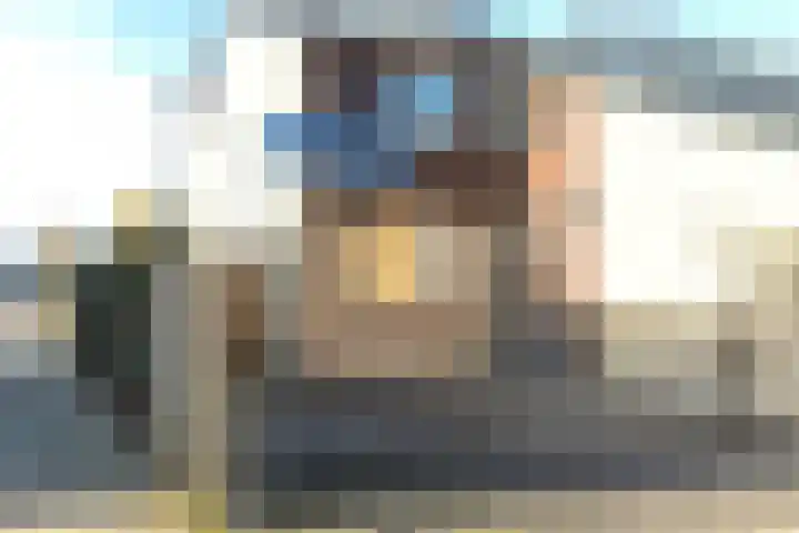 Ridder Alartlaan 92 Buren thumbnail 5
