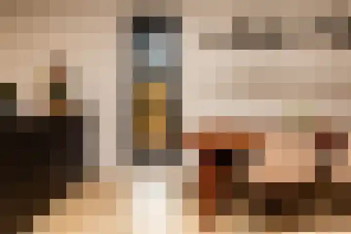 Ridder Alartlaan 92 Buren thumbnail 58