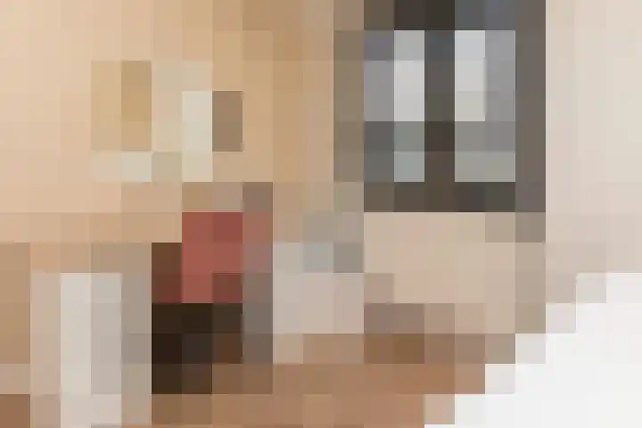Ridder Alartlaan 92 Buren thumbnail 69