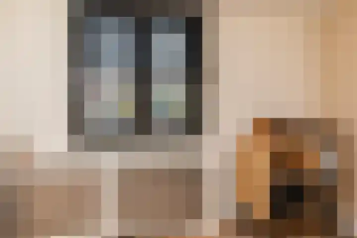 Ridder Alartlaan 92 Buren thumbnail 74