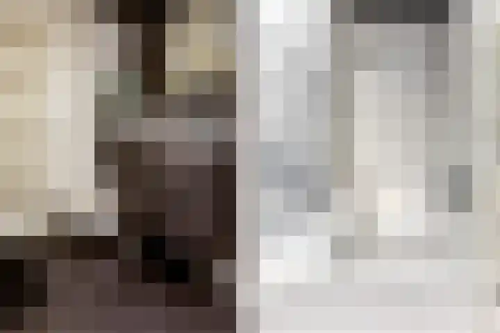 Ridder Alartlaan 92 Buren thumbnail 75