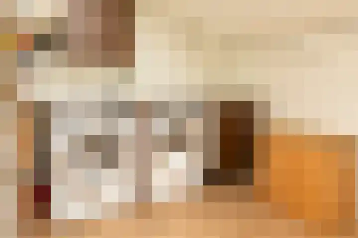 Ridder Alartlaan 92 Buren thumbnail 79