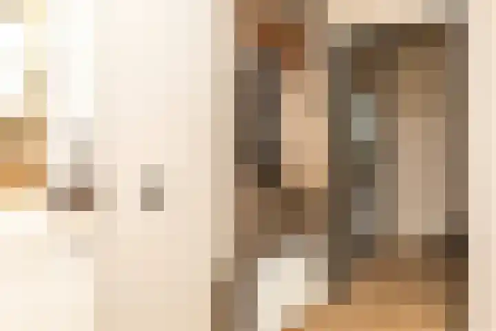 Ridder Alartlaan 92 Buren thumbnail 8