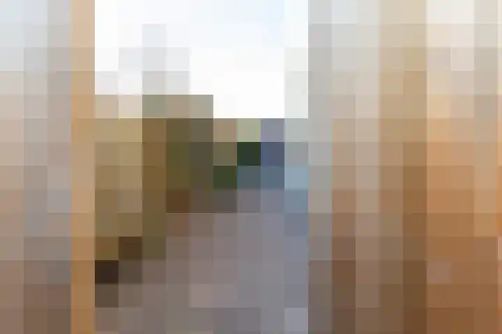 Ridder Alartlaan 92 Buren thumbnail 80
