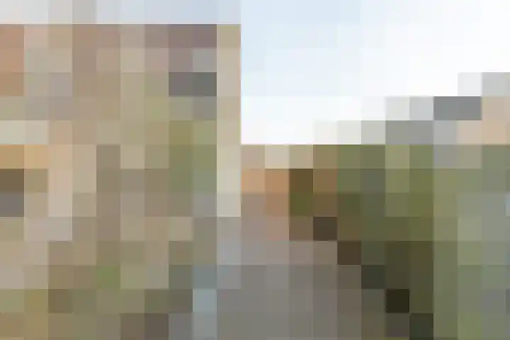 Ridder Alartlaan 92 Buren thumbnail 81
