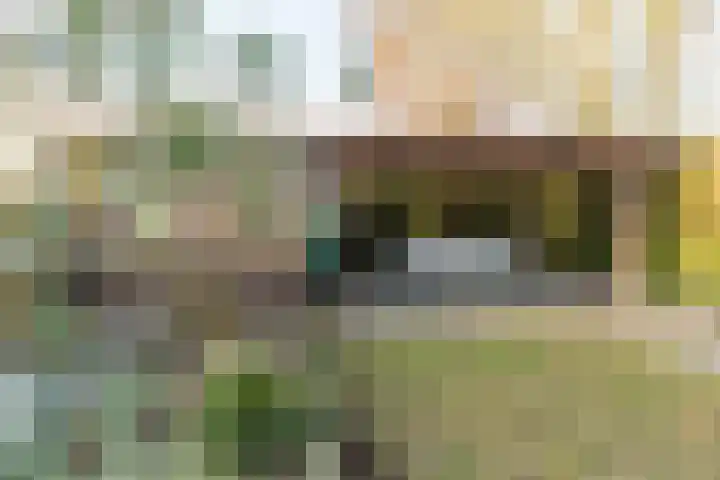 Ridder Alartlaan 92 Buren thumbnail 82