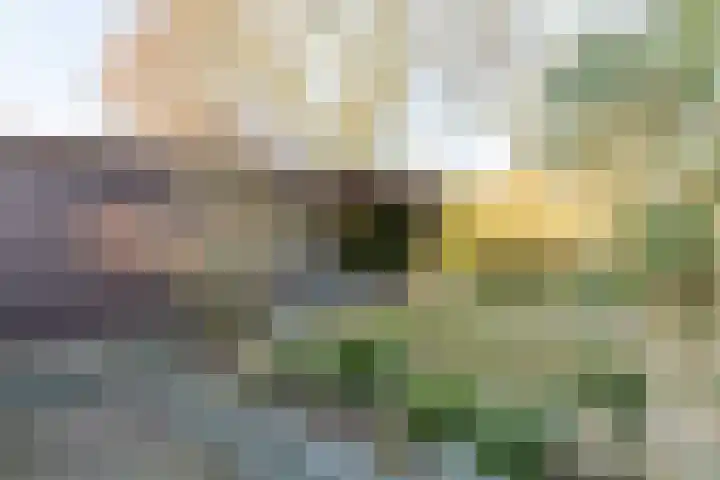 Ridder Alartlaan 92 Buren thumbnail 83