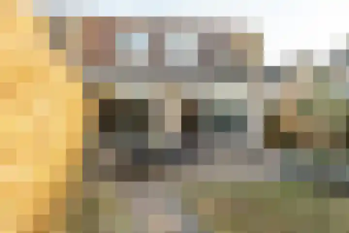 Ridder Alartlaan 92 Buren thumbnail 84