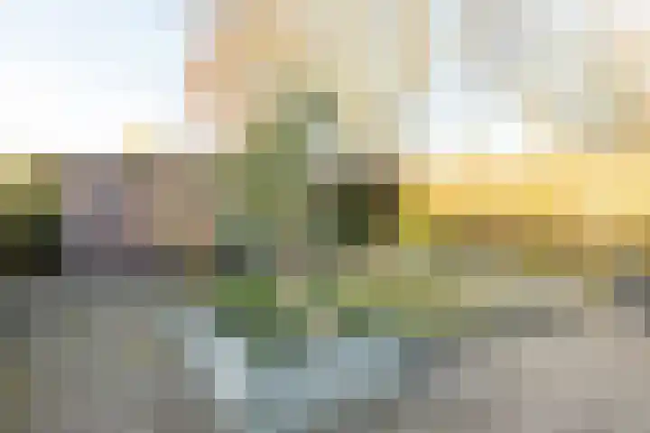 Ridder Alartlaan 92 Buren thumbnail 86