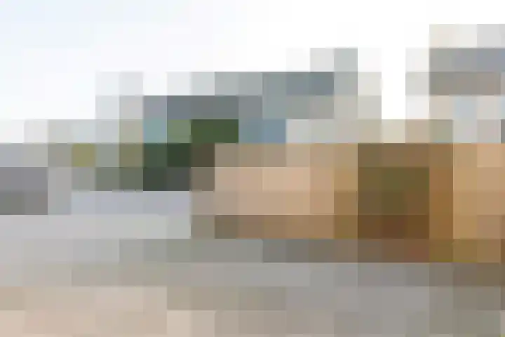Ridder Alartlaan 92 Buren thumbnail 87