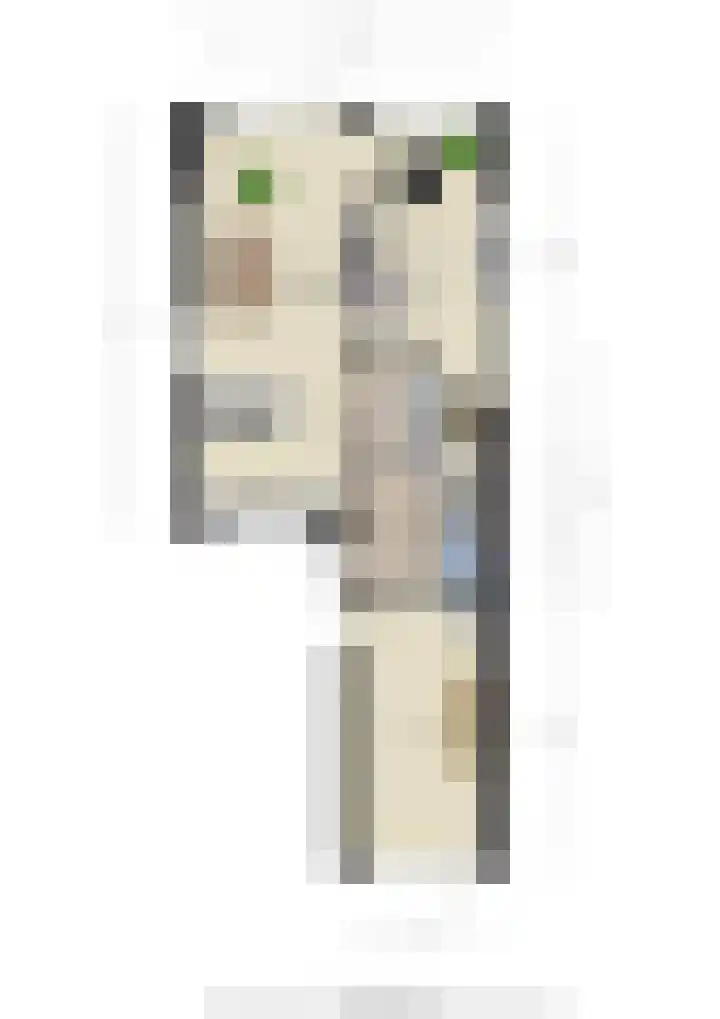 Ridder Alartlaan 92 Buren thumbnail 89