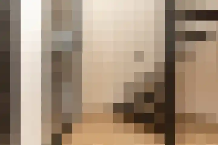 Ridder Alartlaan 92 Buren thumbnail 9