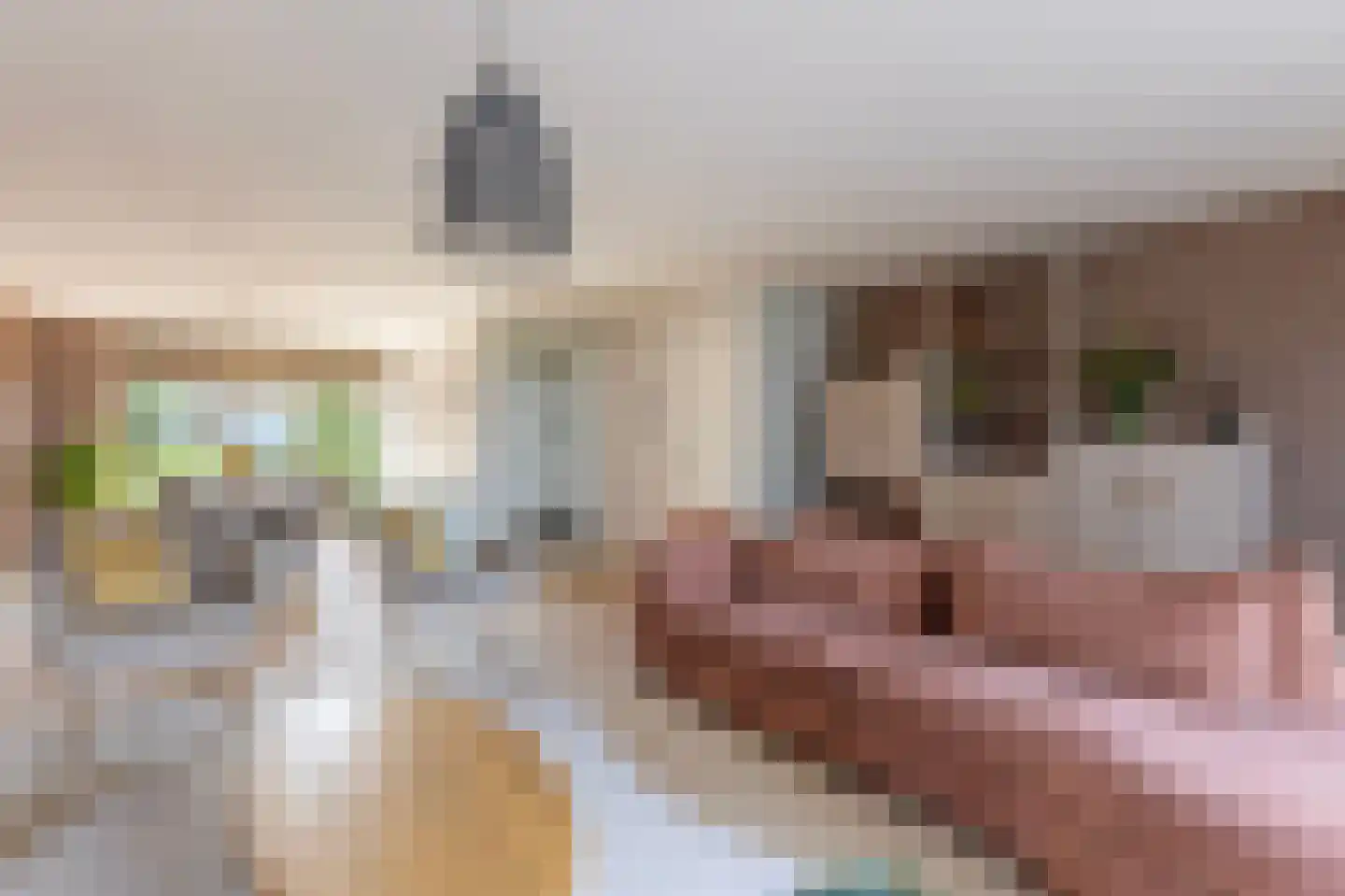 Ridder Arnoud van Amstelstraat 12 Polsbroek thumbnail 13