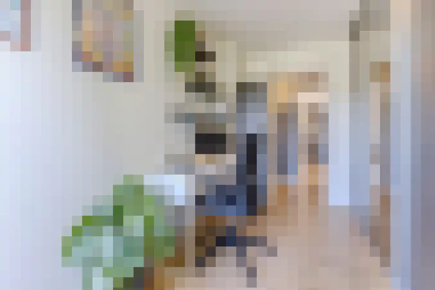 Ridder Arnoudlaan 27 Heemskerk thumbnail 18