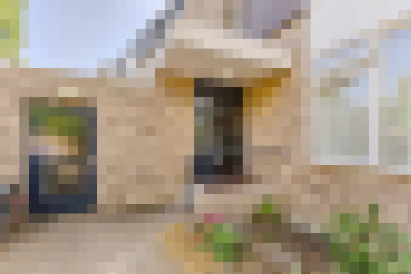 Ridder Arnoudlaan 27 Heemskerk thumbnail 26