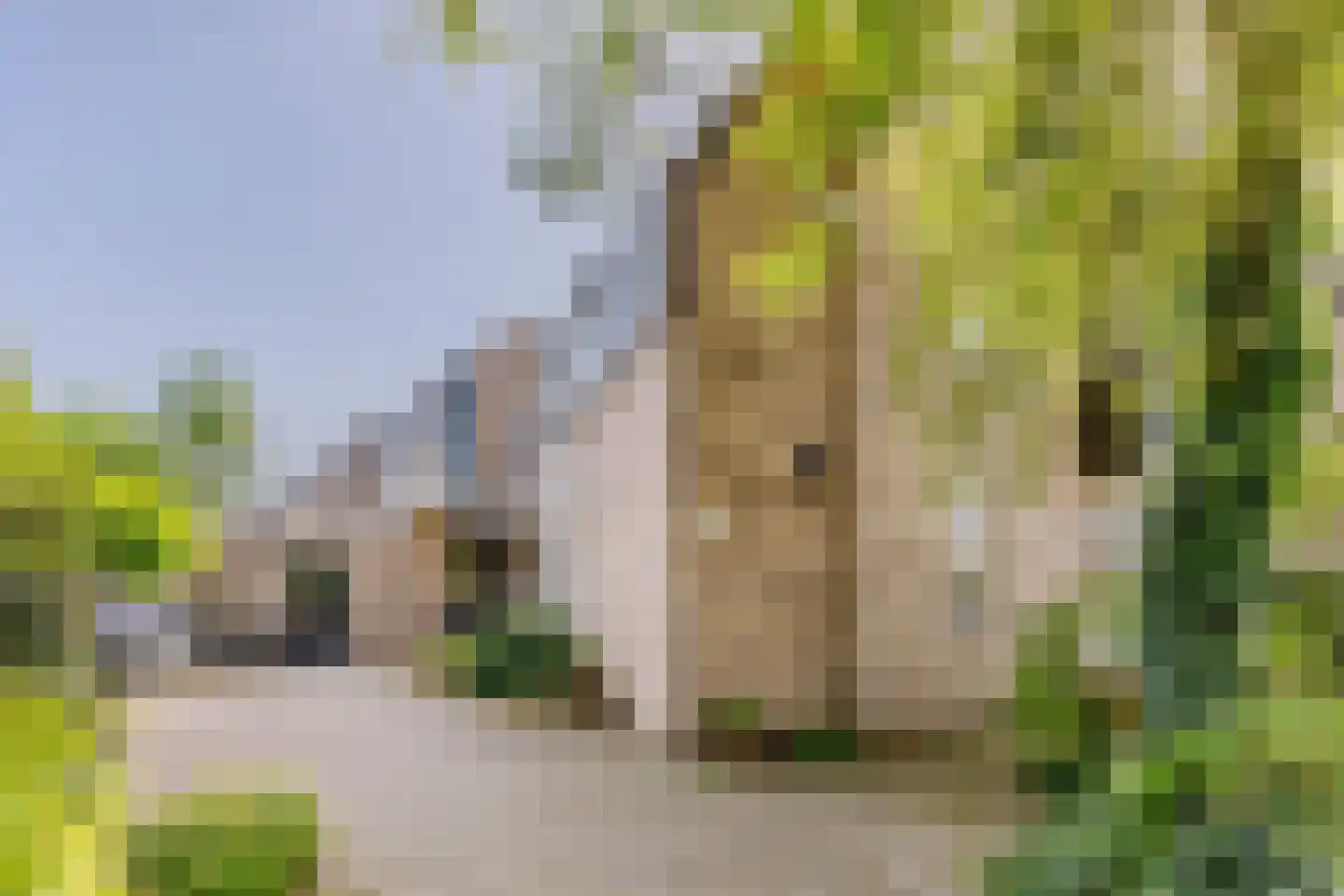 Ridder Arnoudlaan 27 Heemskerk thumbnail 27