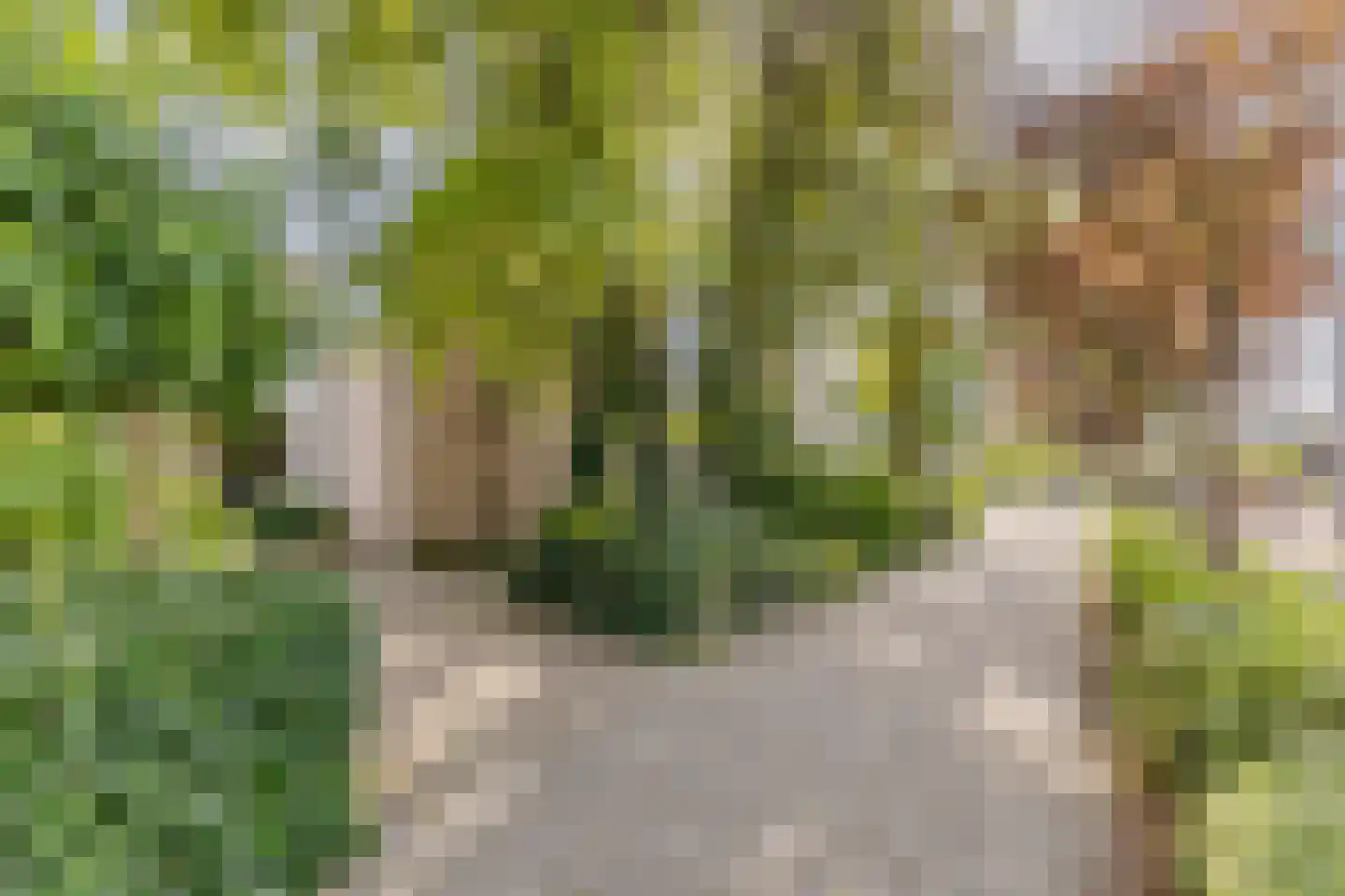 Ridder Arnoudlaan 27 Heemskerk thumbnail 28