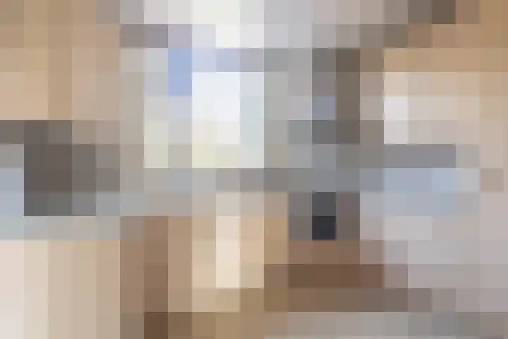 Ridder Arnoudlaan 4 Heemskerk thumbnail 12