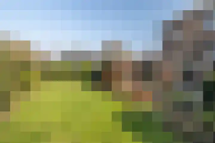 Ridder Arnoudlaan 4 Heemskerk thumbnail 20
