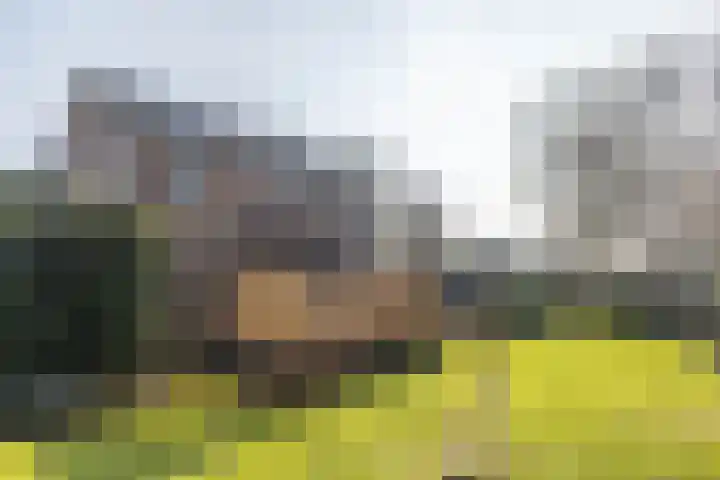Ridder Arnoudlaan 4 Heemskerk thumbnail 21