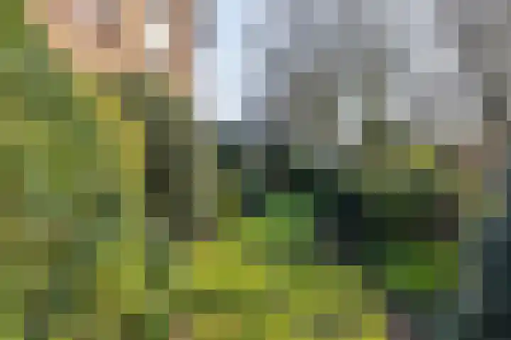 Ridder Arnoudlaan 4 Heemskerk thumbnail 23