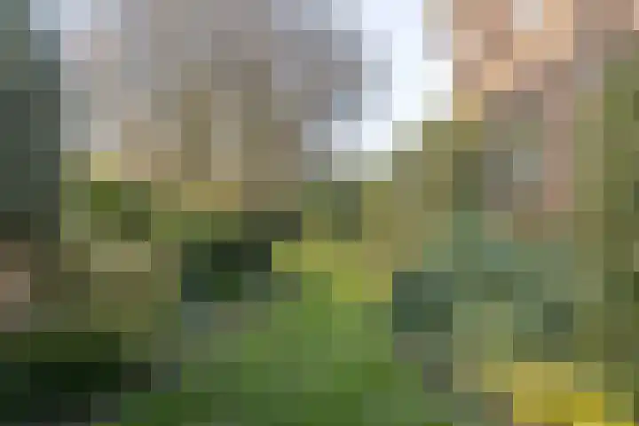 Ridder Arnoudlaan 4 Heemskerk thumbnail 24