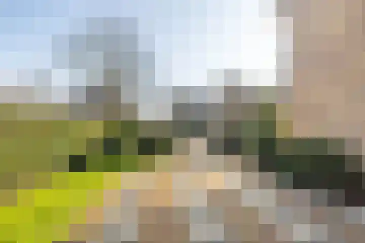 Ridder Arnoudlaan 4 Heemskerk thumbnail 39