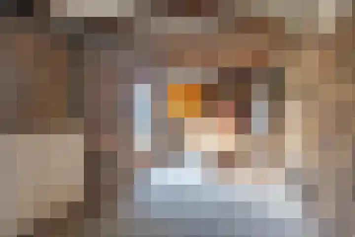 Ridder Arnoudlaan 4 Heemskerk thumbnail 40