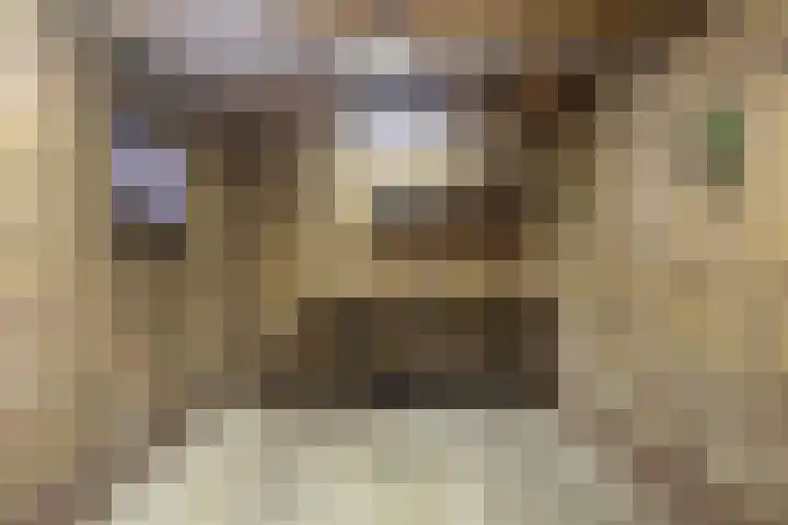 Ridder Arnoudlaan 4 Heemskerk thumbnail 42