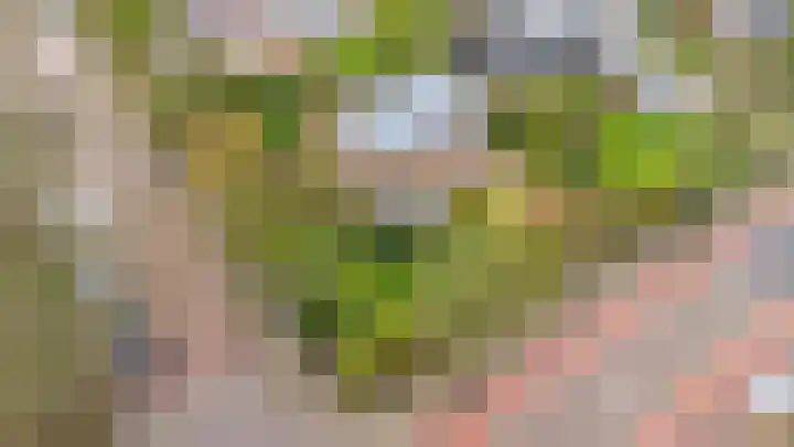 Ridder Arnoudlaan 4 Heemskerk thumbnail 46