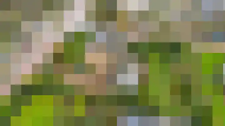Ridder Arnoudlaan 4 Heemskerk thumbnail 47