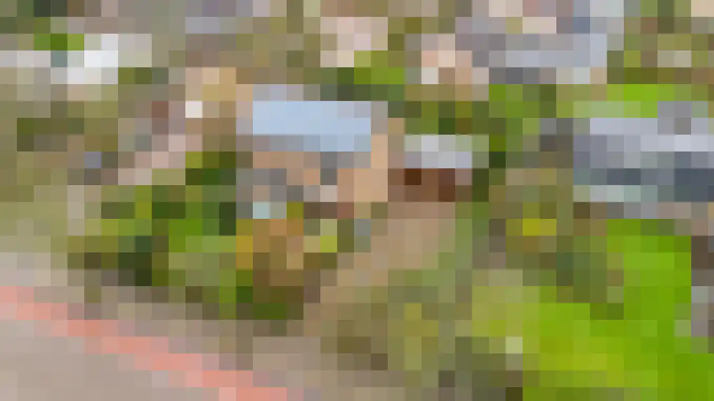 Ridder Arnoudlaan 4 Heemskerk thumbnail 52