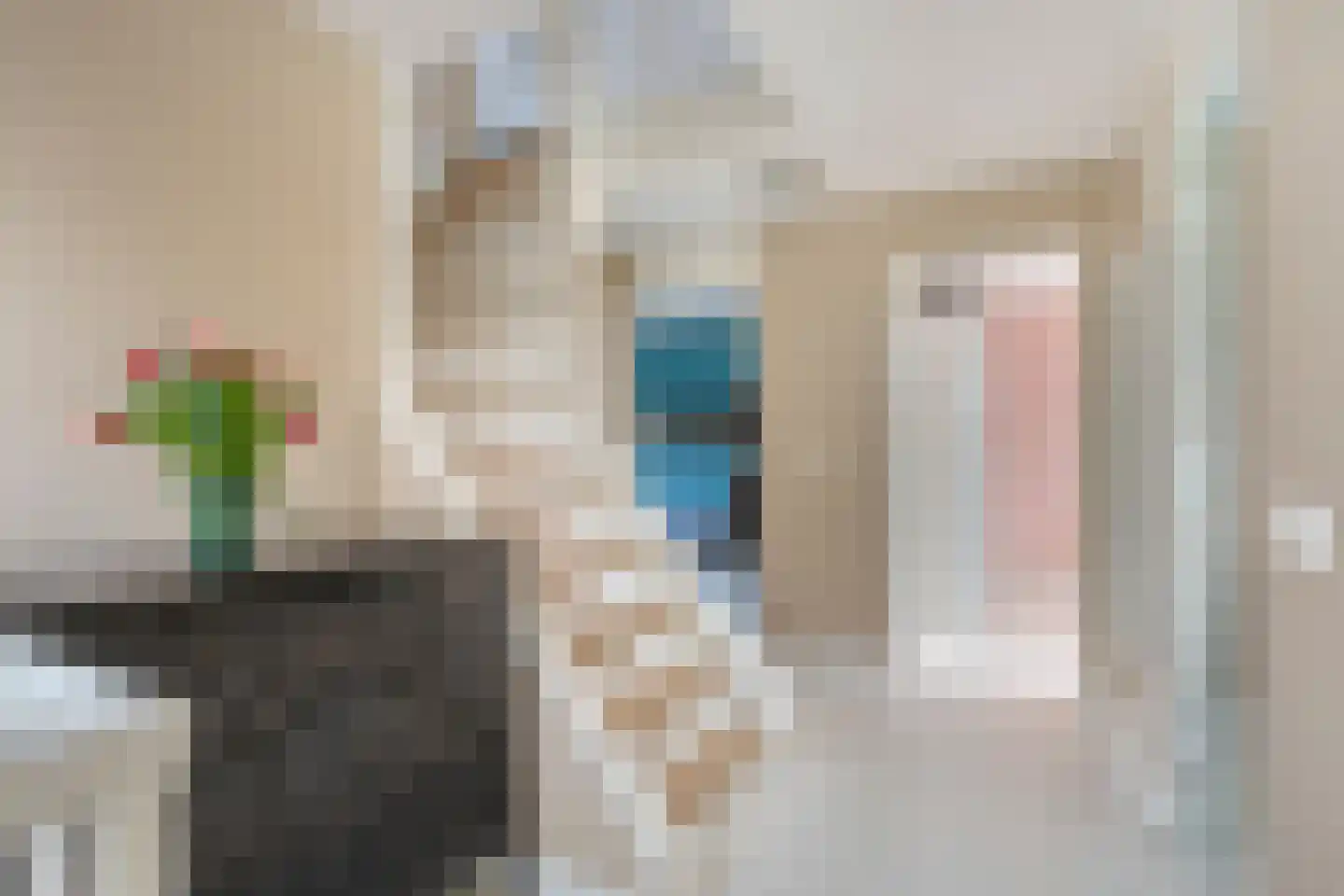 Ridder Arnoudlaan 9 Heemskerk thumbnail 12