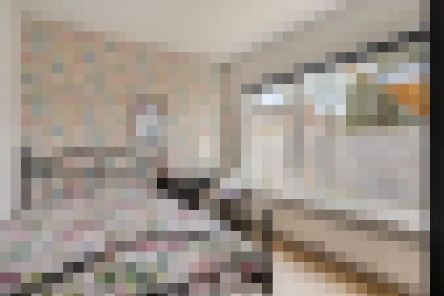 Ridder Arnoudlaan 9 Heemskerk thumbnail 17