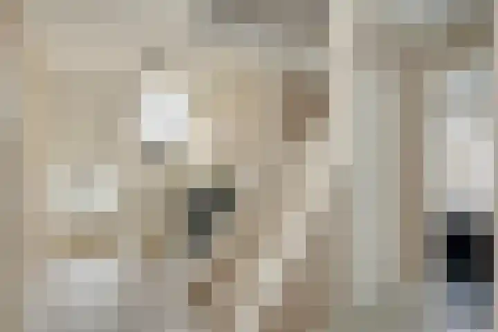 Ridder Arnoudlaan 9 Heemskerk thumbnail 25