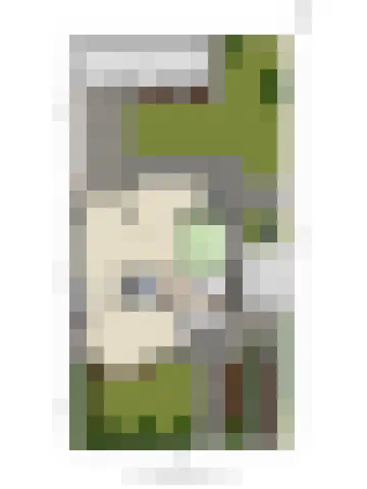 Ridder Arnoudlaan 9 Heemskerk thumbnail 36