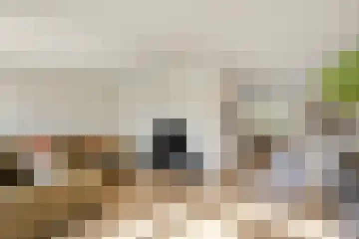 Ridder Arnoudlaan 9 Heemskerk thumbnail 5