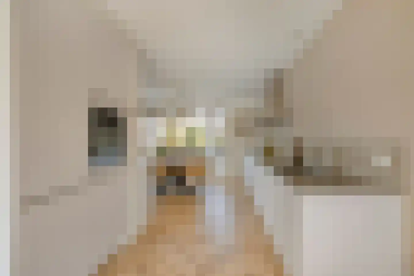 Ridder Arnoudlaan 9 Heemskerk thumbnail 7