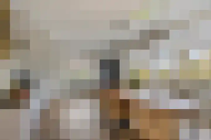 Ridder Arnoudlaan 9 Heemskerk thumbnail 8