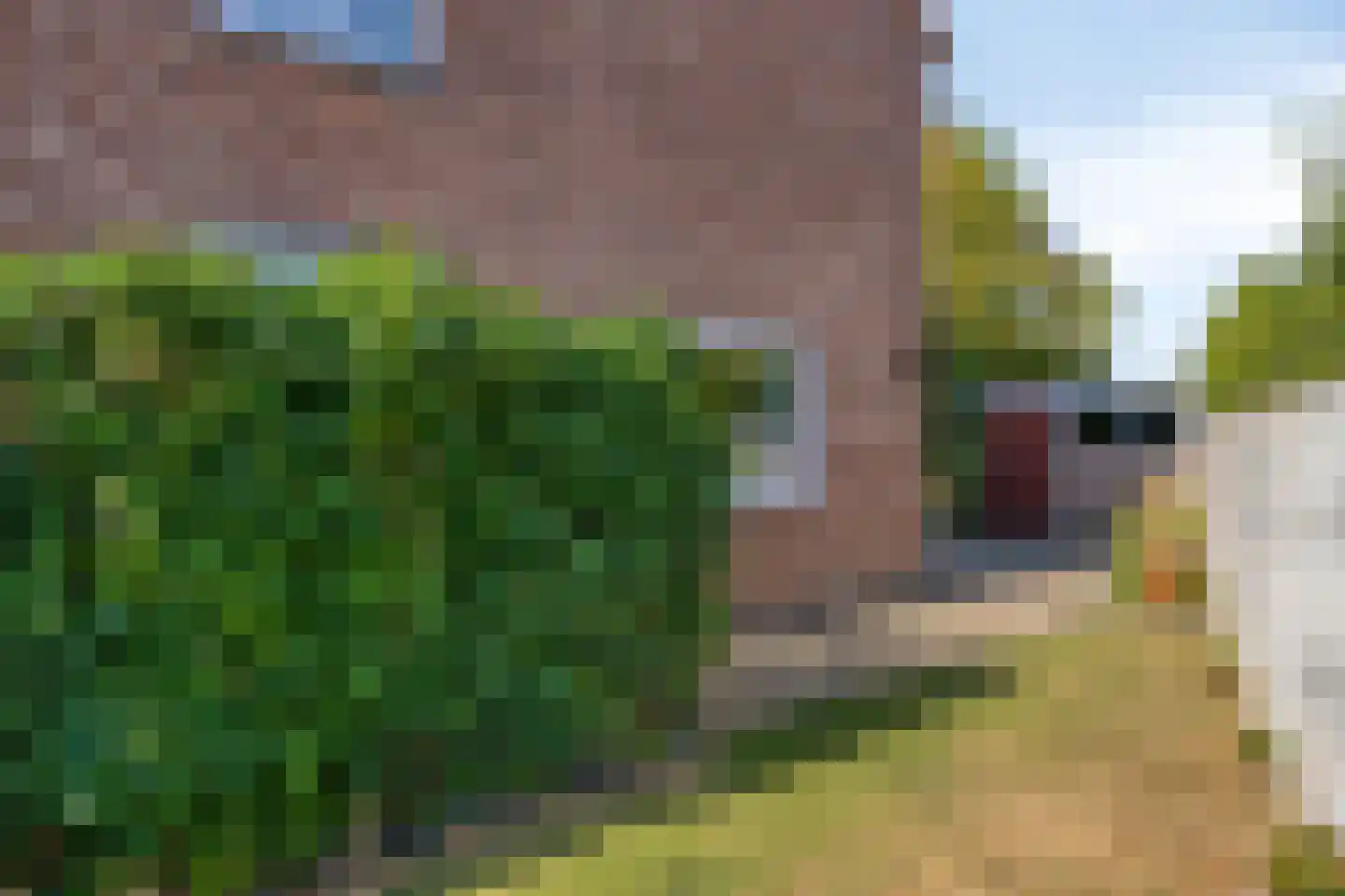 Ridder Bexstraat 28 Brunssum thumbnail 26