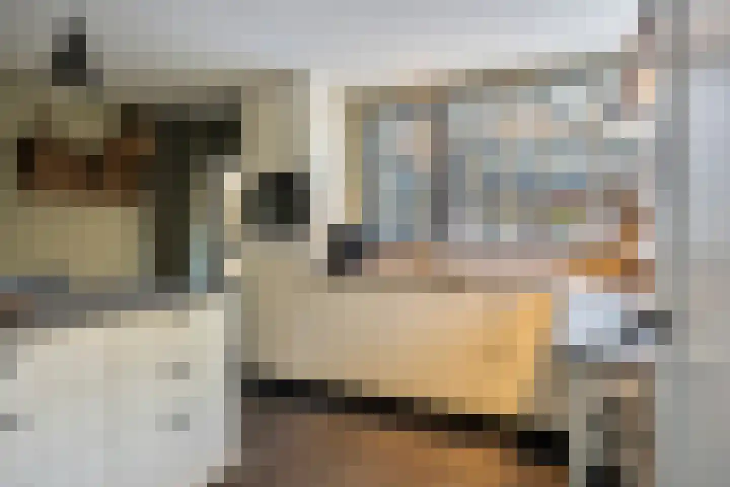 Ridder Daniëlstraat 1 Oirschot thumbnail 19