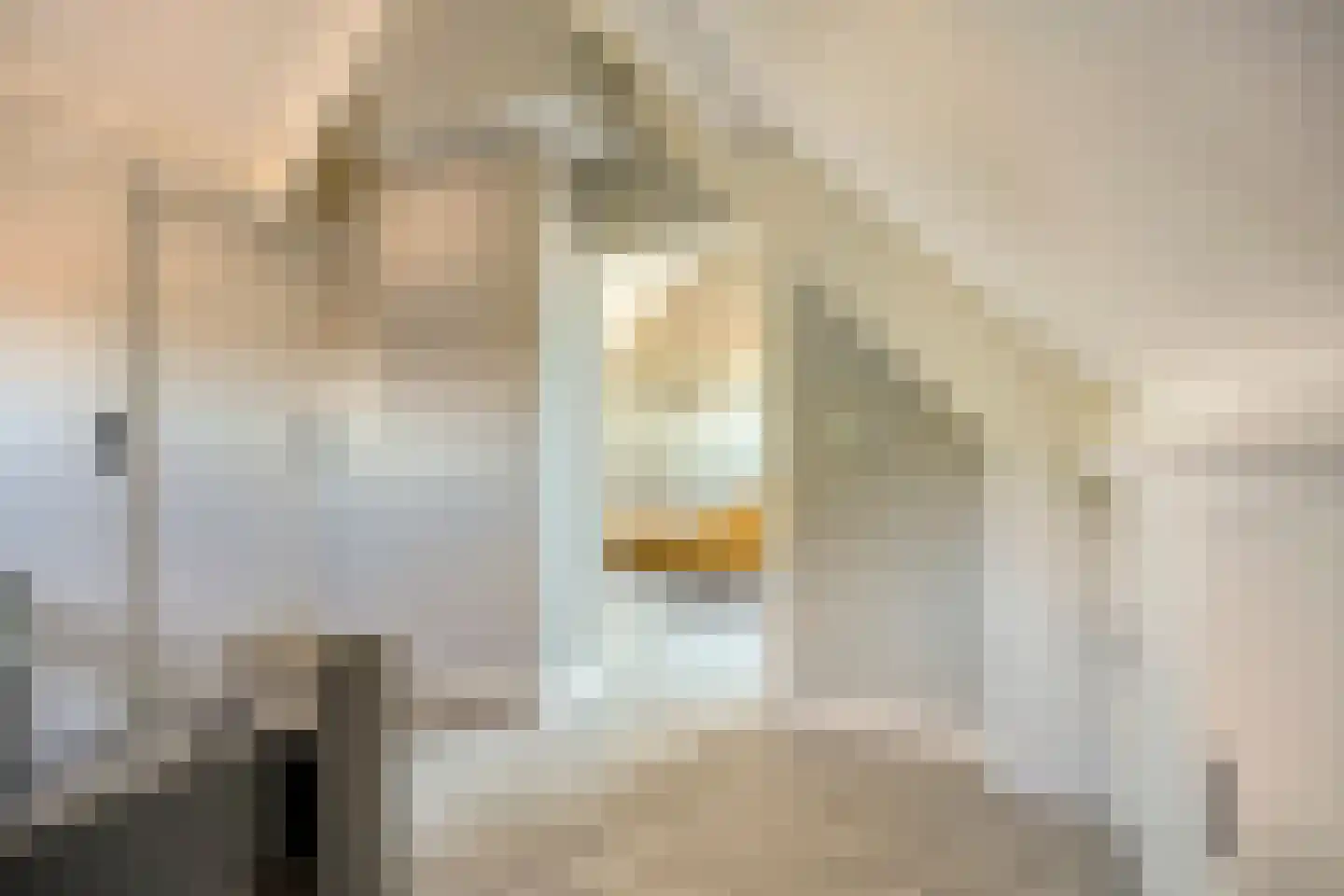 Ridder Daniëlstraat 1 Oirschot thumbnail 37