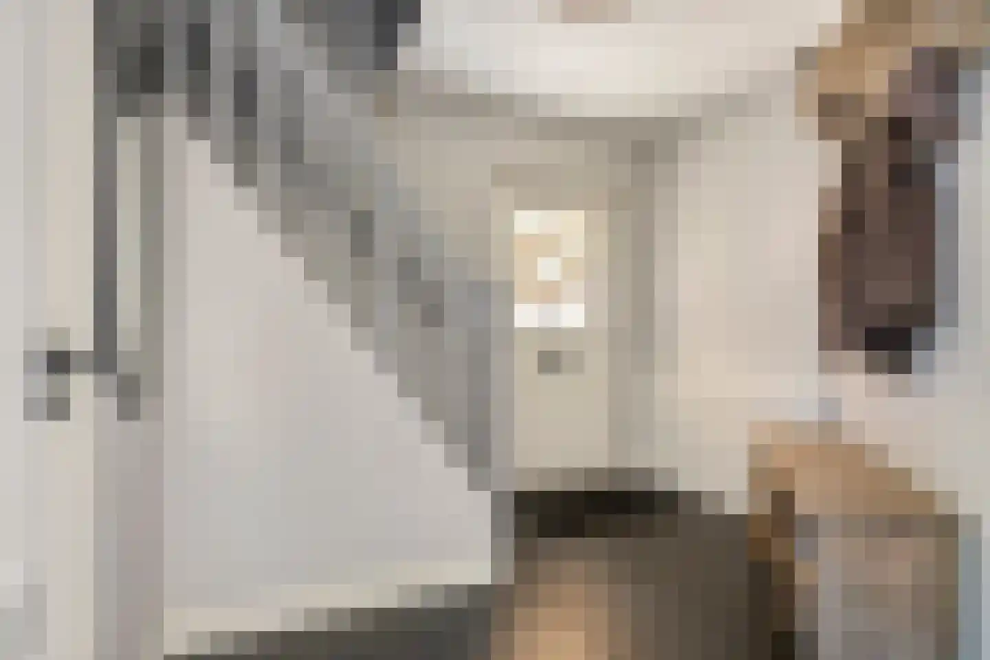 Ridder Daniëlstraat 1 Oirschot thumbnail 8