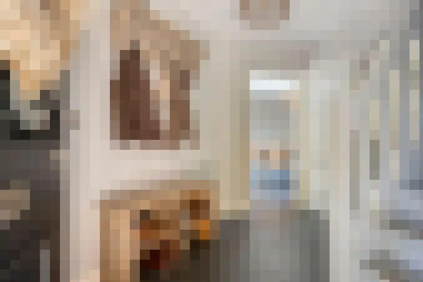 Ridder Daniëlstraat 1 Oirschot thumbnail 9