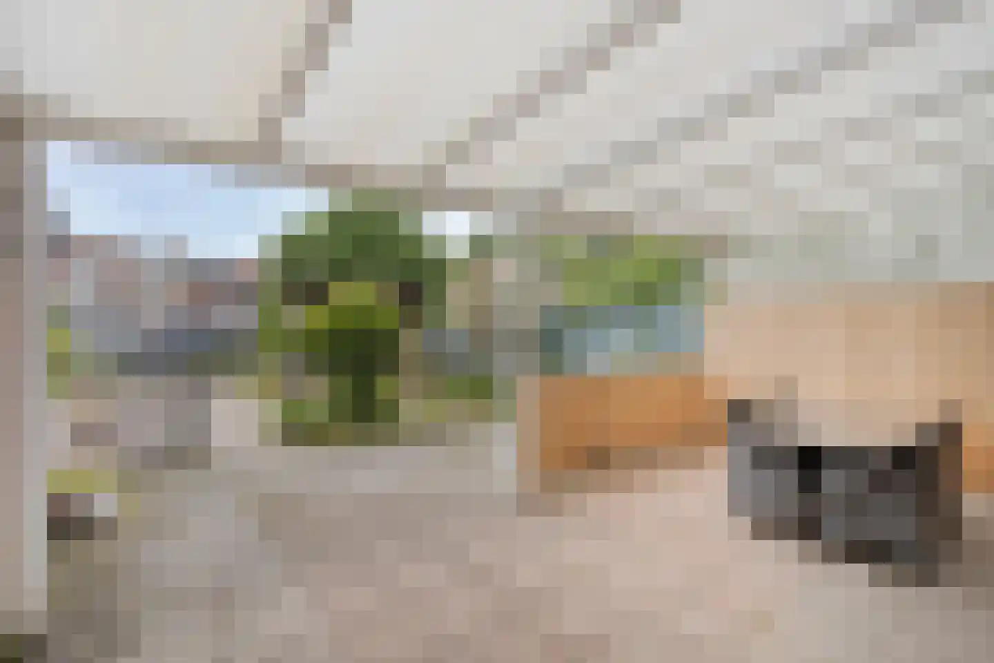 Ridder Reinerstraat 5 Brunssum thumbnail 20