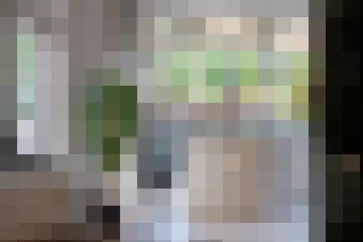 Ridder Robertlaan 13 Doorwerth thumbnail 23