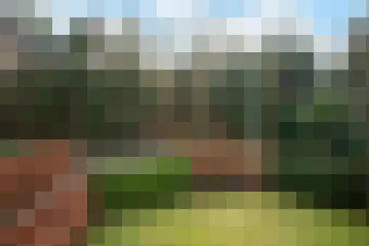 Ridder Robertlaan 13 Doorwerth thumbnail 57