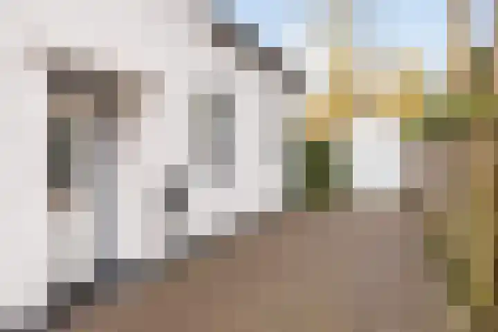 Ridder Robertlaan 13 Doorwerth thumbnail 6