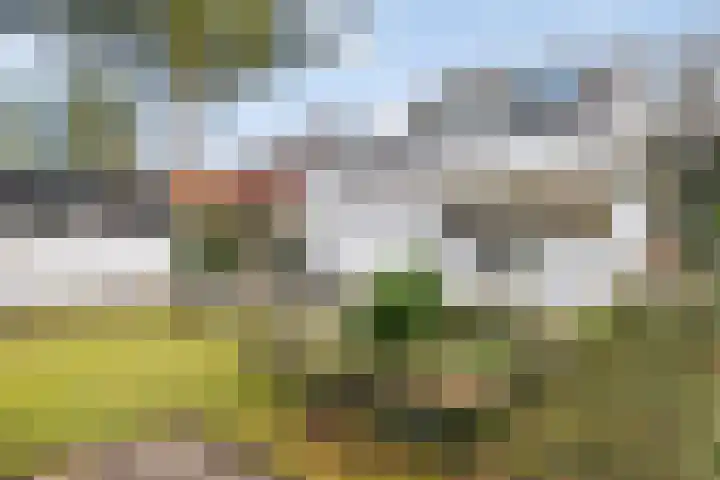 Ridder Robertlaan 13 Doorwerth thumbnail 75