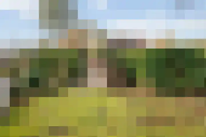 Ridder Robertlaan 13 Doorwerth thumbnail 76